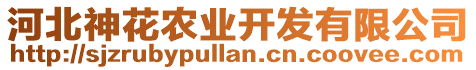 河北神花農(nóng)業(yè)開(kāi)發(fā)有限公司