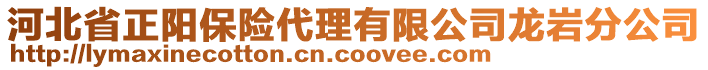 河北省正阳保险代理有限公司龙岩分公司