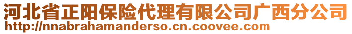 河北省正陽(yáng)保險(xiǎn)代理有限公司廣西分公司