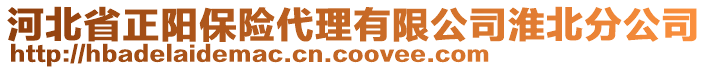 河北省正陽(yáng)保險(xiǎn)代理有限公司淮北分公司