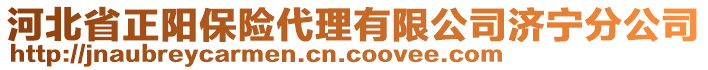 河北省正陽保險代理有限公司濟寧分公司