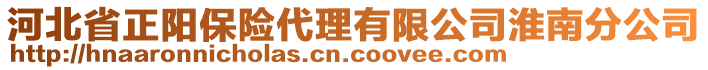 河北省正陽保險代理有限公司淮南分公司