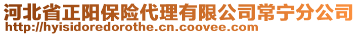 河北省正陽保險代理有限公司常寧分公司