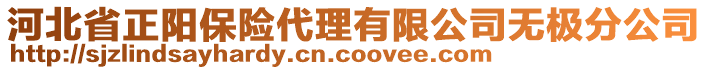 河北省正阳保险代理有限公司无极分公司