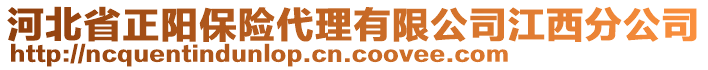 河北省正陽(yáng)保險(xiǎn)代理有限公司江西分公司