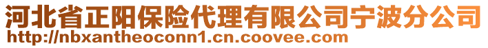 河北省正陽保險(xiǎn)代理有限公司寧波分公司