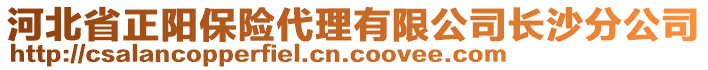 河北省正陽(yáng)保險(xiǎn)代理有限公司長(zhǎng)沙分公司