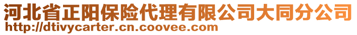 河北省正陽(yáng)保險(xiǎn)代理有限公司大同分公司