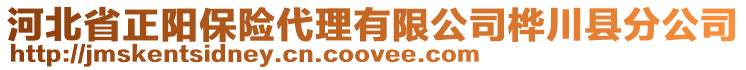 河北省正陽保險代理有限公司樺川縣分公司