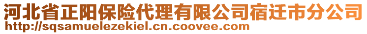 河北省正陽保險(xiǎn)代理有限公司宿遷市分公司