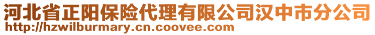 河北省正陽保險代理有限公司漢中市分公司