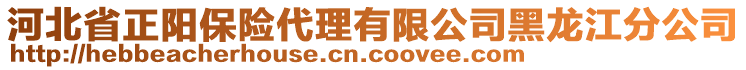 河北省正陽保險代理有限公司黑龍江分公司