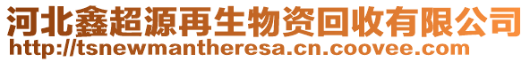 河北鑫超源再生物資回收有限公司