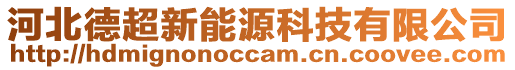 河北德超新能源科技有限公司