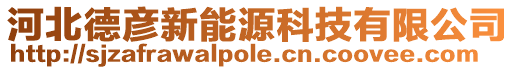 河北德彥新能源科技有限公司