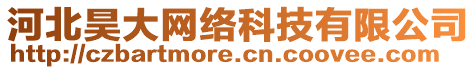河北昊大網絡科技有限公司