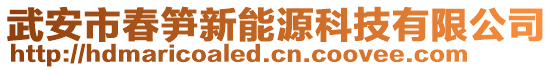 武安市春筍新能源科技有限公司
