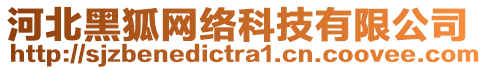 河北黑狐網(wǎng)絡(luò)科技有限公司