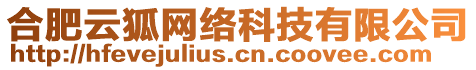 合肥云狐網(wǎng)絡(luò)科技有限公司