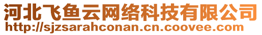 河北飛魚云網(wǎng)絡(luò)科技有限公司