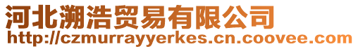 河北溯浩貿(mào)易有限公司