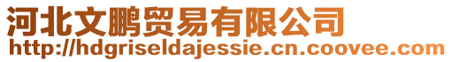 河北文鵬貿(mào)易有限公司