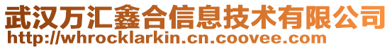 武漢萬匯鑫合信息技術(shù)有限公司