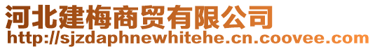 河北建梅商貿有限公司