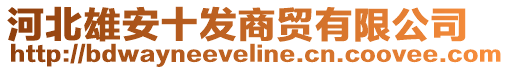 河北雄安十發(fā)商貿(mào)有限公司