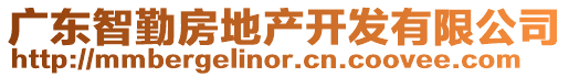 廣東智勤房地產(chǎn)開發(fā)有限公司