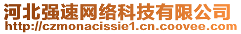 河北強(qiáng)速網(wǎng)絡(luò)科技有限公司