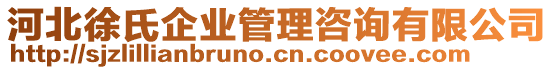 河北徐氏企業(yè)管理咨詢有限公司