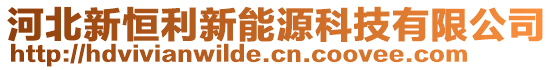 河北新恒利新能源科技有限公司