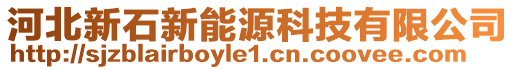 河北新石新能源科技有限公司