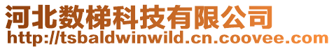 河北數(shù)梯科技有限公司