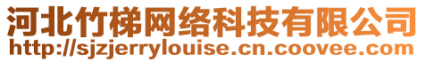河北竹梯網絡科技有限公司