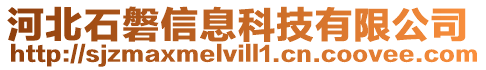 河北石磐信息科技有限公司