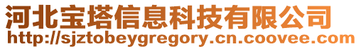 河北寶塔信息科技有限公司