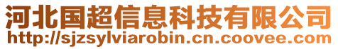 河北國超信息科技有限公司