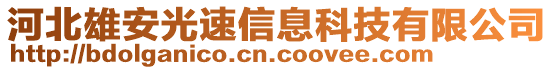 河北雄安光速信息科技有限公司