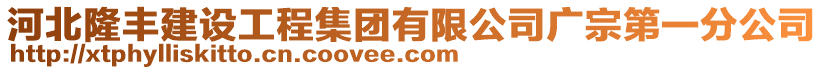 河北隆豐建設工程集團有限公司廣宗第一分公司