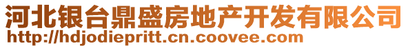 河北銀臺(tái)鼎盛房地產(chǎn)開發(fā)有限公司