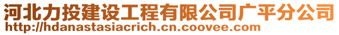 河北力投建設(shè)工程有限公司廣平分公司