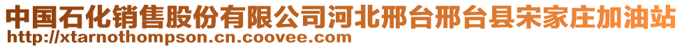 中國石化銷售股份有限公司河北邢臺邢臺縣宋家莊加油站