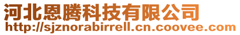 河北恩騰科技有限公司