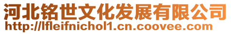 河北銘世文化發展有限公司