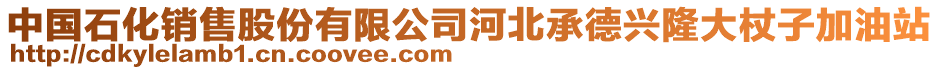 中國(guó)石化銷(xiāo)售股份有限公司河北承德興隆大杖子加油站