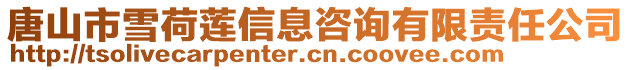 唐山市雪荷蓮信息咨詢有限責任公司