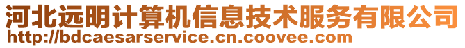 河北远明计算机信息技术服务有限公司