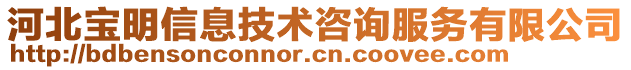 河北宝明信息技术咨询服务有限公司